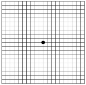 Amsler Grid